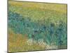 Field With Irises Near Arles - Focus-Van Gogh Vincent-Mounted Giclee Print