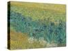 Field With Irises Near Arles - Focus-Van Gogh Vincent-Stretched Canvas