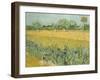 Field with Irises Near Arles-Vincent van Gogh-Framed Giclee Print