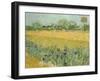 Field with Irises Near Arles-Vincent van Gogh-Framed Giclee Print