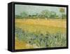 Field with Irises Near Arles-Vincent van Gogh-Framed Stretched Canvas