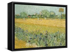 Field with Irises Near Arles-Vincent van Gogh-Framed Stretched Canvas