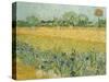 Field with Irises Near Arles-Vincent van Gogh-Stretched Canvas