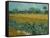 Field With Irises-Vincent van Gogh-Framed Stretched Canvas