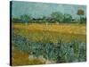 Field With Irises-Vincent van Gogh-Stretched Canvas
