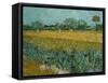 Field With Irises-Vincent van Gogh-Framed Stretched Canvas