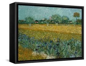 Field With Irises-Vincent van Gogh-Framed Stretched Canvas