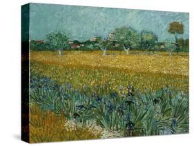 Field With Irises-Vincent van Gogh-Stretched Canvas