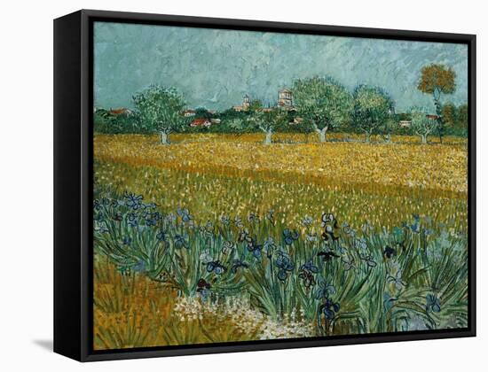 Field With Irises-Vincent van Gogh-Framed Stretched Canvas