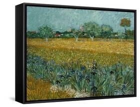 Field With Irises-Vincent van Gogh-Framed Stretched Canvas