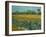 Field With Irises-Vincent van Gogh-Framed Giclee Print