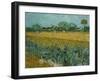 Field With Irises-Vincent van Gogh-Framed Giclee Print