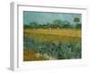 Field With Irises-Vincent van Gogh-Framed Giclee Print