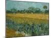 Field With Irises-Vincent van Gogh-Mounted Giclee Print