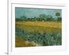 Field With Irises-Vincent van Gogh-Framed Giclee Print