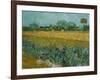 Field With Irises-Vincent van Gogh-Framed Giclee Print