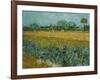 Field With Irises-Vincent van Gogh-Framed Giclee Print