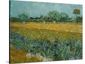 Field With Irises-Vincent van Gogh-Stretched Canvas