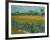 Field With Irises-Vincent van Gogh-Framed Premium Giclee Print