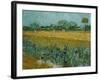 Field With Irises-Vincent van Gogh-Framed Giclee Print