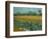 Field With Irises-Vincent van Gogh-Framed Premium Giclee Print