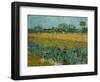 Field With Irises-Vincent van Gogh-Framed Premium Giclee Print