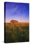 Field with Leaning Barn-null-Stretched Canvas