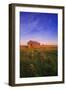 Field with Leaning Barn-null-Framed Photographic Print