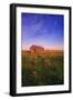 Field with Leaning Barn-null-Framed Photographic Print