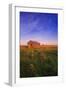 Field with Leaning Barn-null-Framed Photographic Print