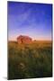 Field with Leaning Barn-null-Mounted Photographic Print