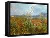 Field with poppies. Oil on canvas.-Vincent van Gogh-Framed Stretched Canvas