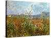 Field with poppies. Oil on canvas.-Vincent van Gogh-Stretched Canvas