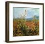 Field with Poppies-Vincent van Gogh-Framed Giclee Print