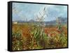 Field with Poppies-Vincent van Gogh-Framed Stretched Canvas