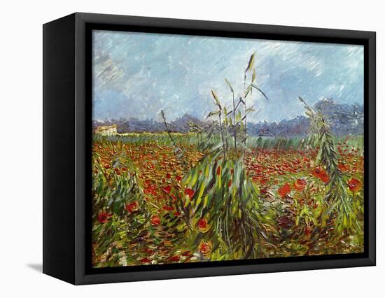 Field with Poppies-Vincent van Gogh-Framed Stretched Canvas