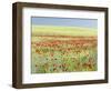 Field With Poppy And Cornflowers, Usedomer Schweiz, Island Of Usedom. Germany-Martin Zwick-Framed Photographic Print