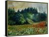 Field with Red Poppies and Daisies-Pol Ledent-Framed Stretched Canvas