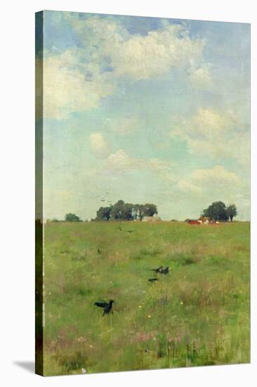 Field with Trees and Sky, or Landscape with Crows-Walter Frederick Osborne-Stretched Canvas