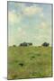 Field with Trees and Sky, or Landscape with Crows-Walter Frederick Osborne-Mounted Premium Giclee Print