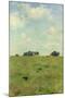 Field with Trees and Sky, or Landscape with Crows-Walter Frederick Osborne-Mounted Giclee Print