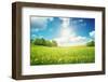 Field with Yellow Dandelions and Blue Sky-LeManna-Framed Photographic Print