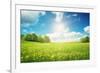 Field with Yellow Dandelions and Blue Sky-LeManna-Framed Photographic Print