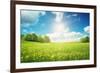 Field with Yellow Dandelions and Blue Sky-LeManna-Framed Photographic Print