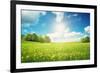 Field with Yellow Dandelions and Blue Sky-LeManna-Framed Photographic Print