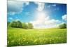 Field with Yellow Dandelions and Blue Sky-LeManna-Mounted Photographic Print