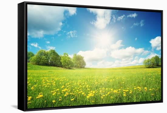 Field with Yellow Dandelions and Blue Sky-LeManna-Framed Stretched Canvas