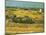 Field-Vincent van Gogh-Mounted Giclee Print