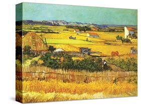 Field-Vincent van Gogh-Stretched Canvas