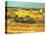 Field-Vincent van Gogh-Stretched Canvas